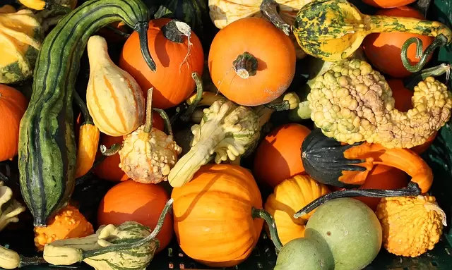 Targi Żywności - Zasmakuj z UR 