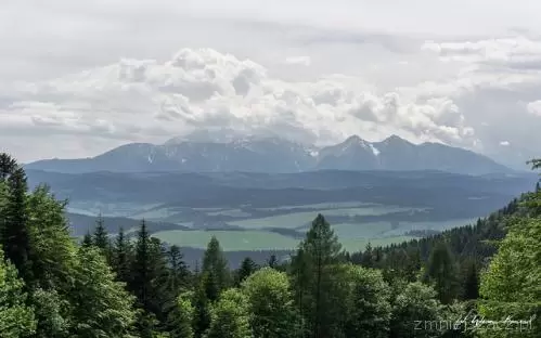 Adaptaciak – obóz Uniwersytetu Rolniczego w Krakowie 