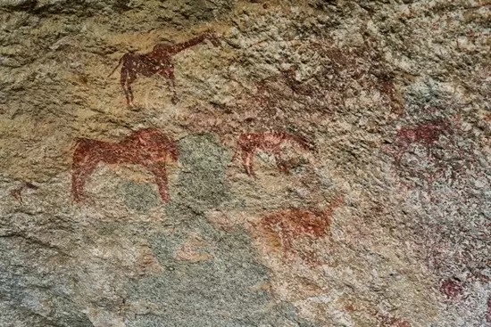 Uczelnia UJ malowidła