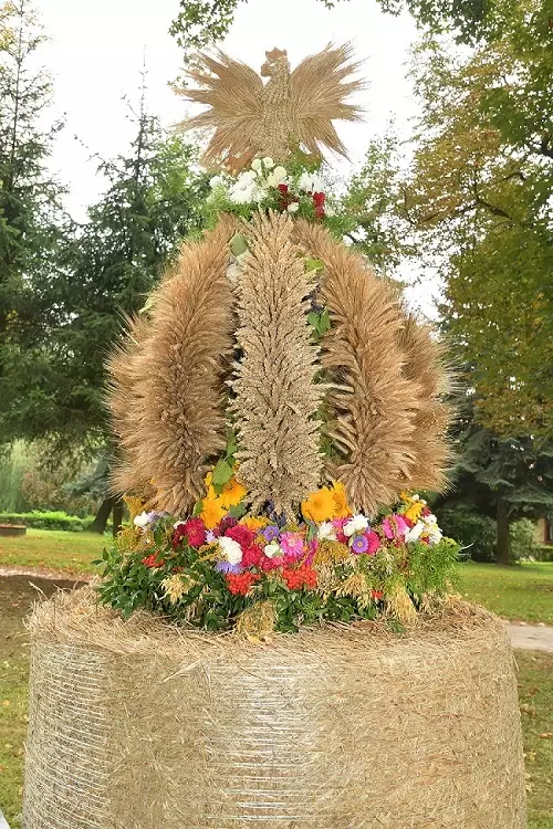 Dożynki Uniwersyteckie 2018 