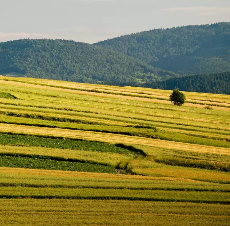 URK: Rodzinne Gospodarstwa Rolne wobec wyzwań Zielonego Ładu 