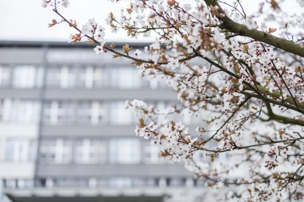 Siedem powodów by studiować w Instytucie Prawa, Ekonomii i Administracji Uniwersytetu Komisji Edukacji Narodowej w Krakowie 