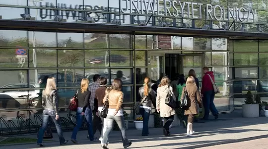 Zielona Hala Sportowa 