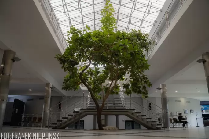 Wyższa Szkoła Biznesu - National Louis University w Nowym Sączu